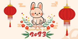 Lunar New Year Story